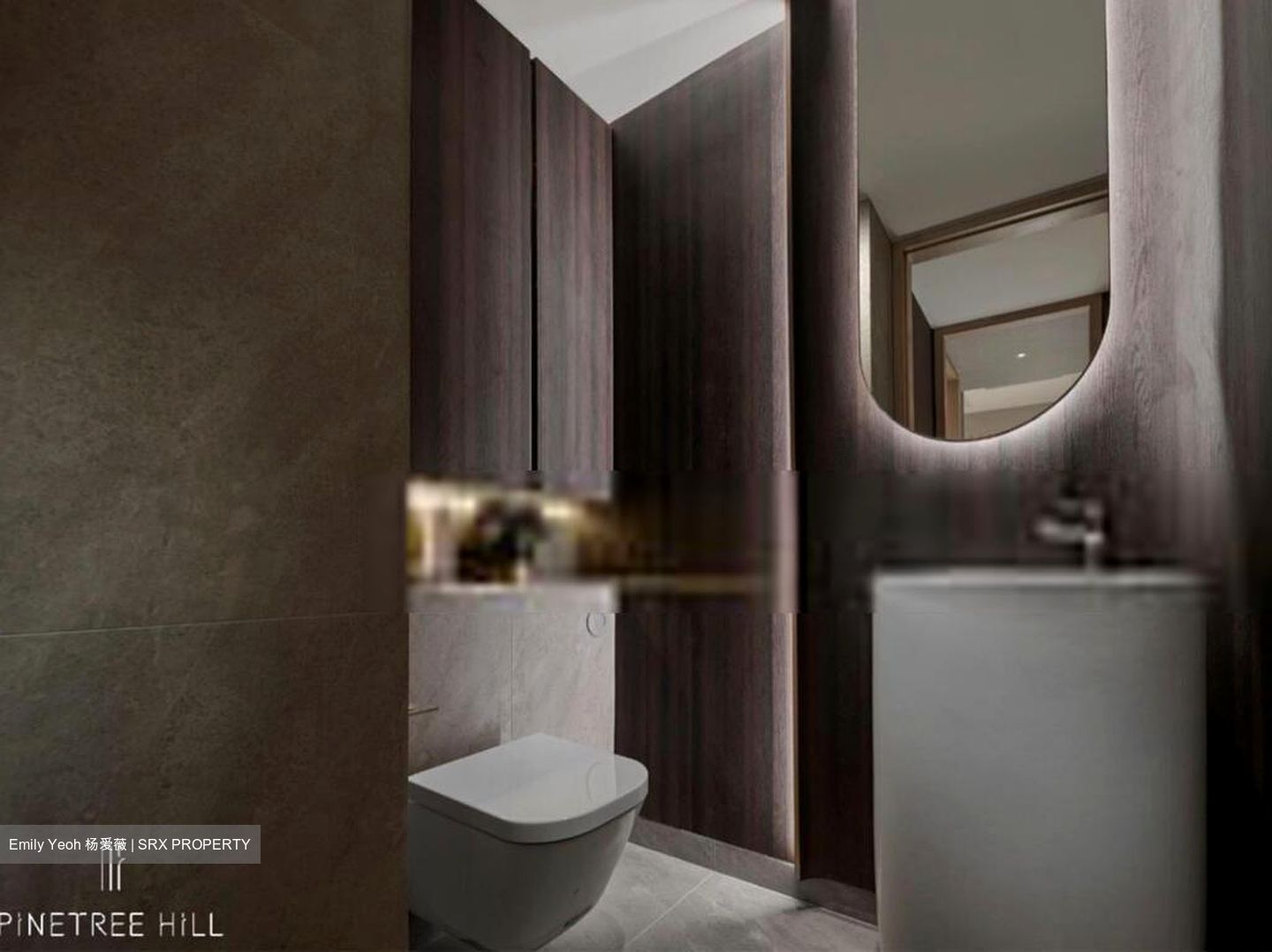 Pinetree Hill (D21), Condominium #454856121